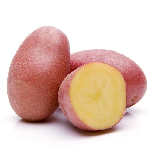 Pomme de terre rouge