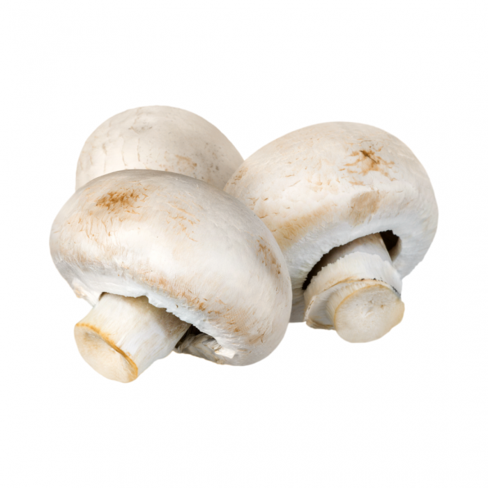 champignon