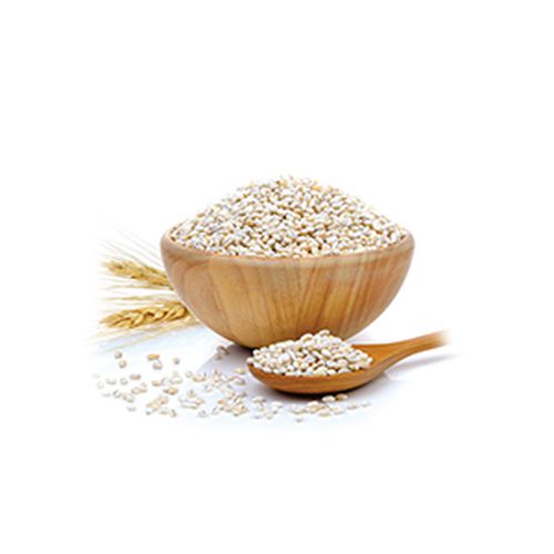 دشيشة عادية