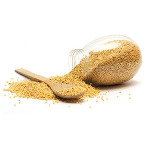 حبوب ايلان بلدي