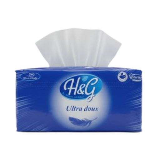 h&G mouchoire 60