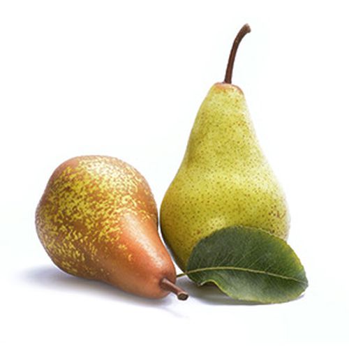 Poire vert longue
