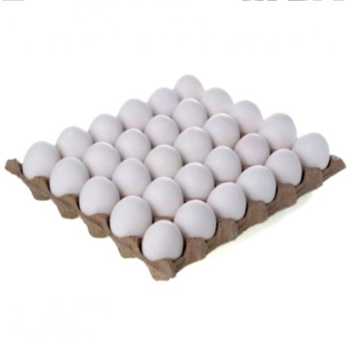 Plateau D'oeufs Beldi