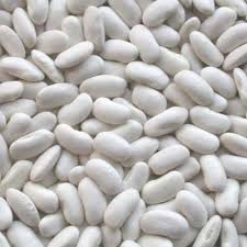 Haricot blanc