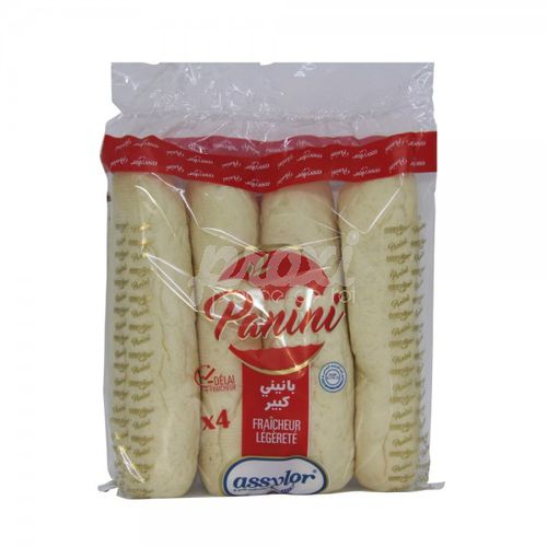 Assylor Panini