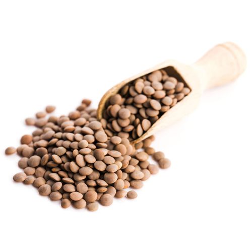 Lentilles beldi