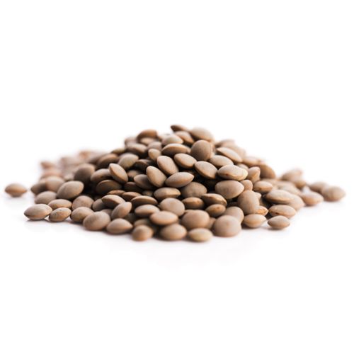 Lentilles