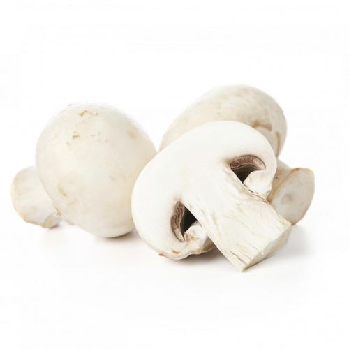 Champignon