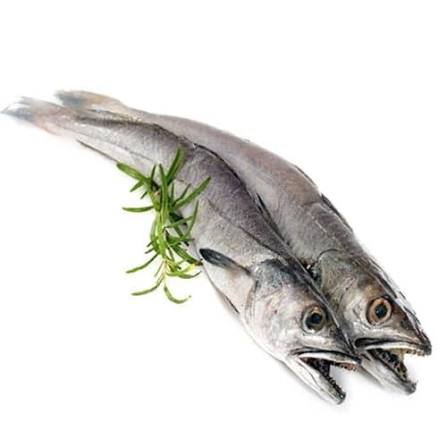 بيخوطا (ميرلا صغيرة)