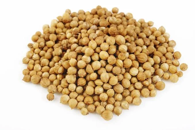 graines de coriandre