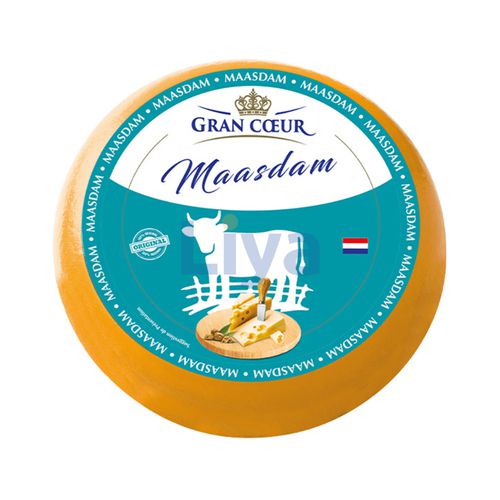 Fromage Maasdam hollande