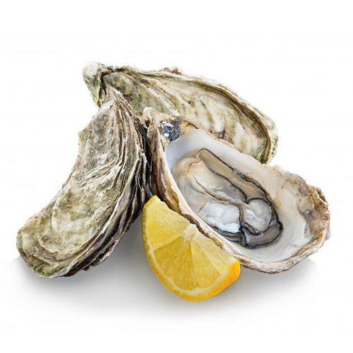 Huître 1pc