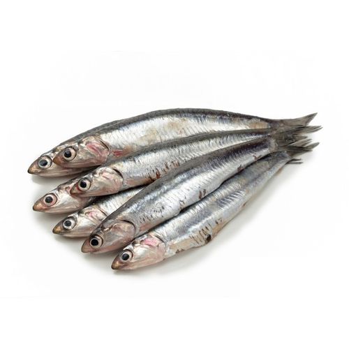 Anchois