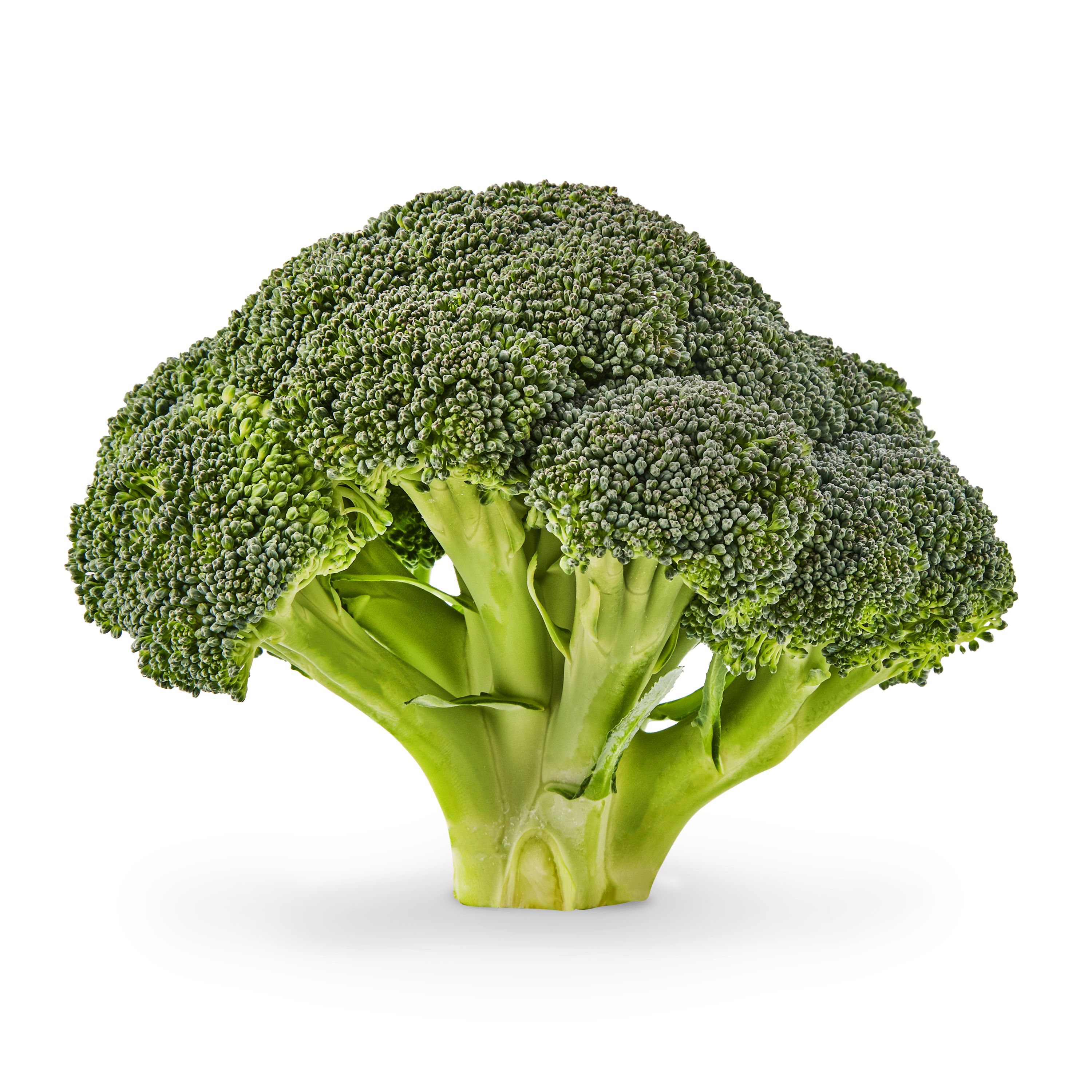 Brocolie