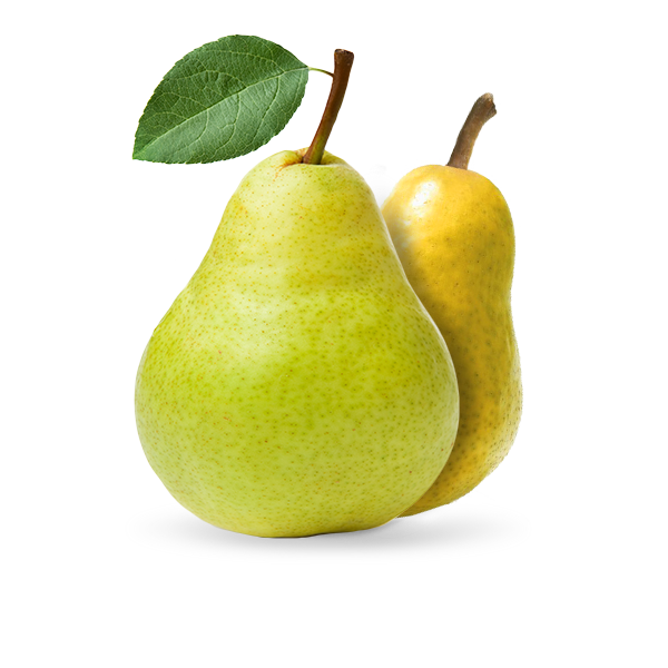 Poire Beldi Export