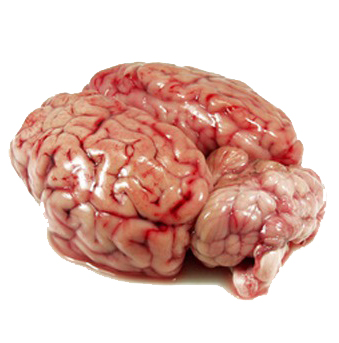 Cervelle de veau