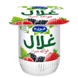 Ghilal Jaouda
