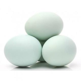 Oeuf beldi