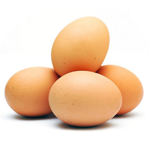 Oeuf