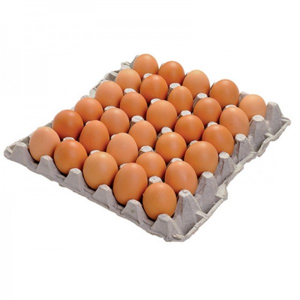 Plateau D'oeufs