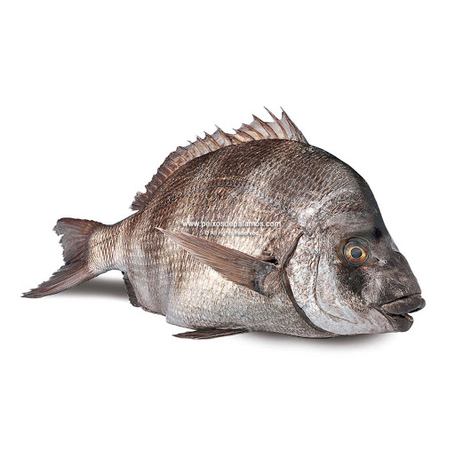 Poisson