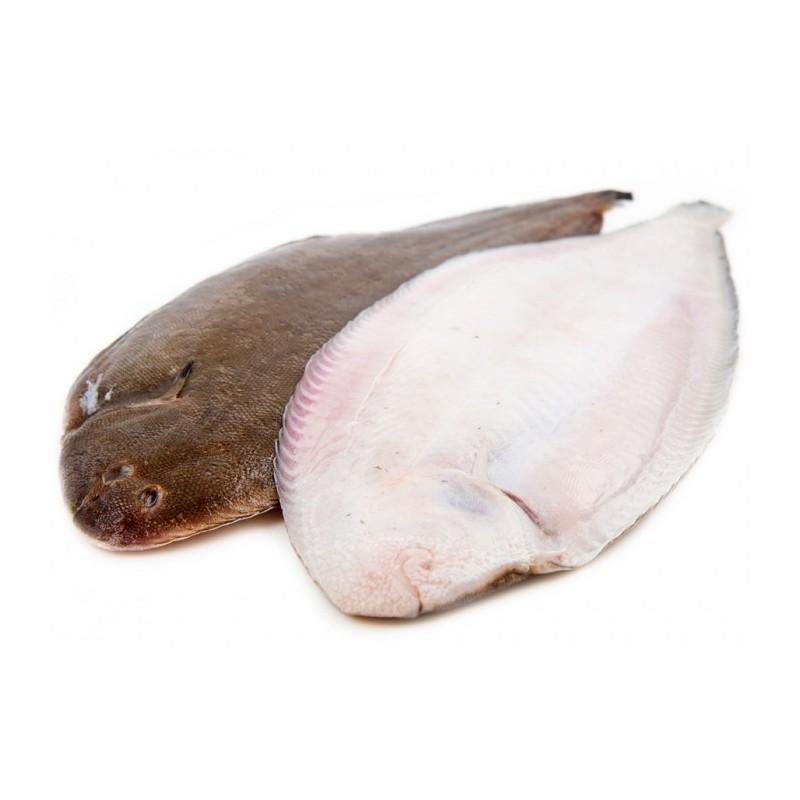 Sole